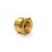 Brass Bush Hex Adapter Male/Female